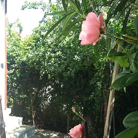 Kyriaki * Skopelos