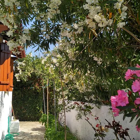 Kyriaki Konukevi Skopelos