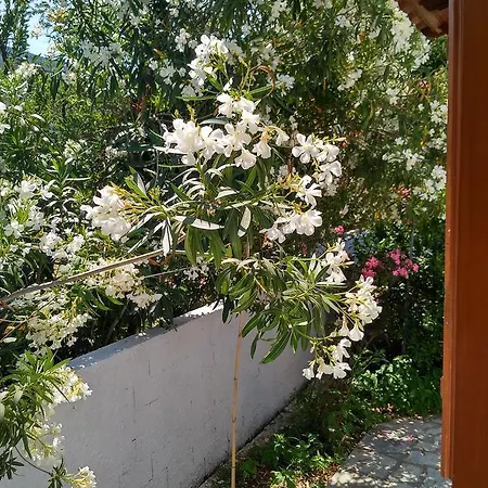 Konukevi Kyriaki Skopelos
