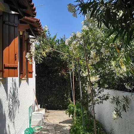 Kyriaki Konukevi *